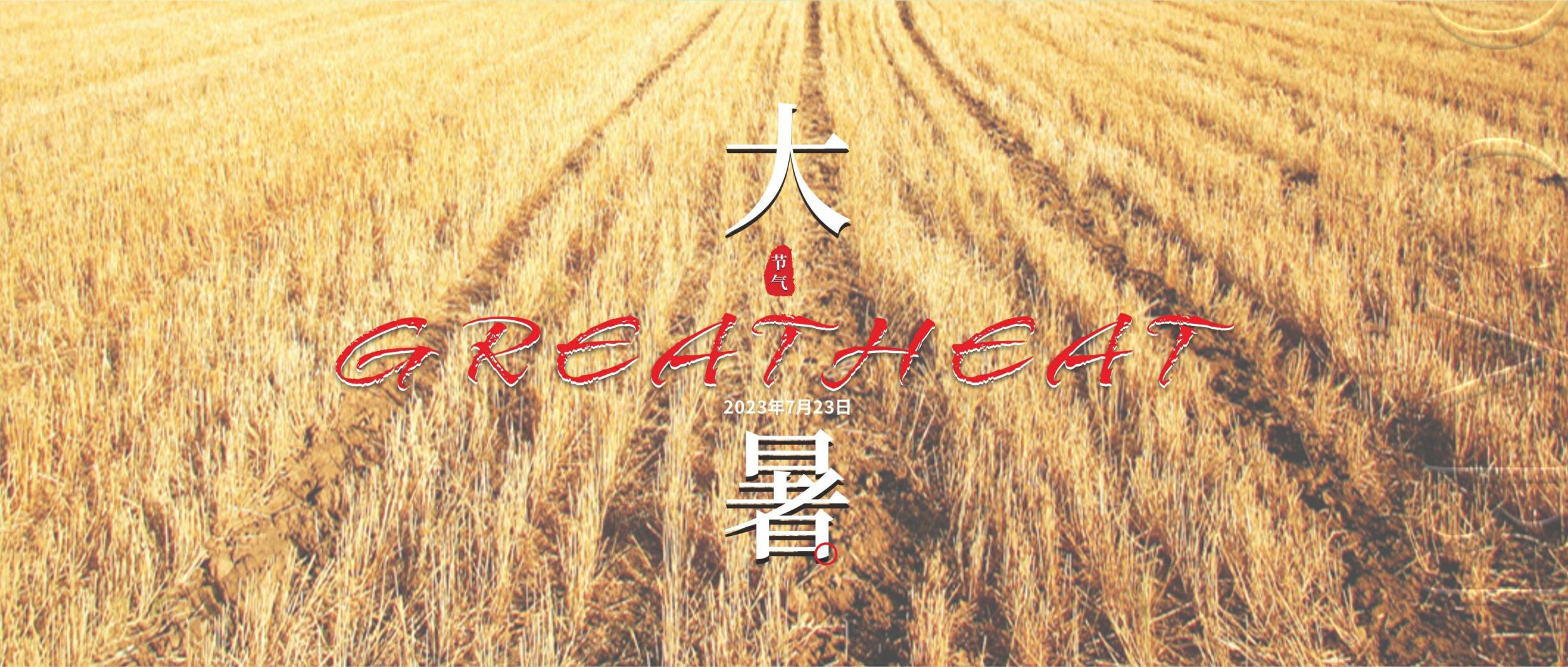 大暑：竹深树密虫鸣处，时有微凉不是风