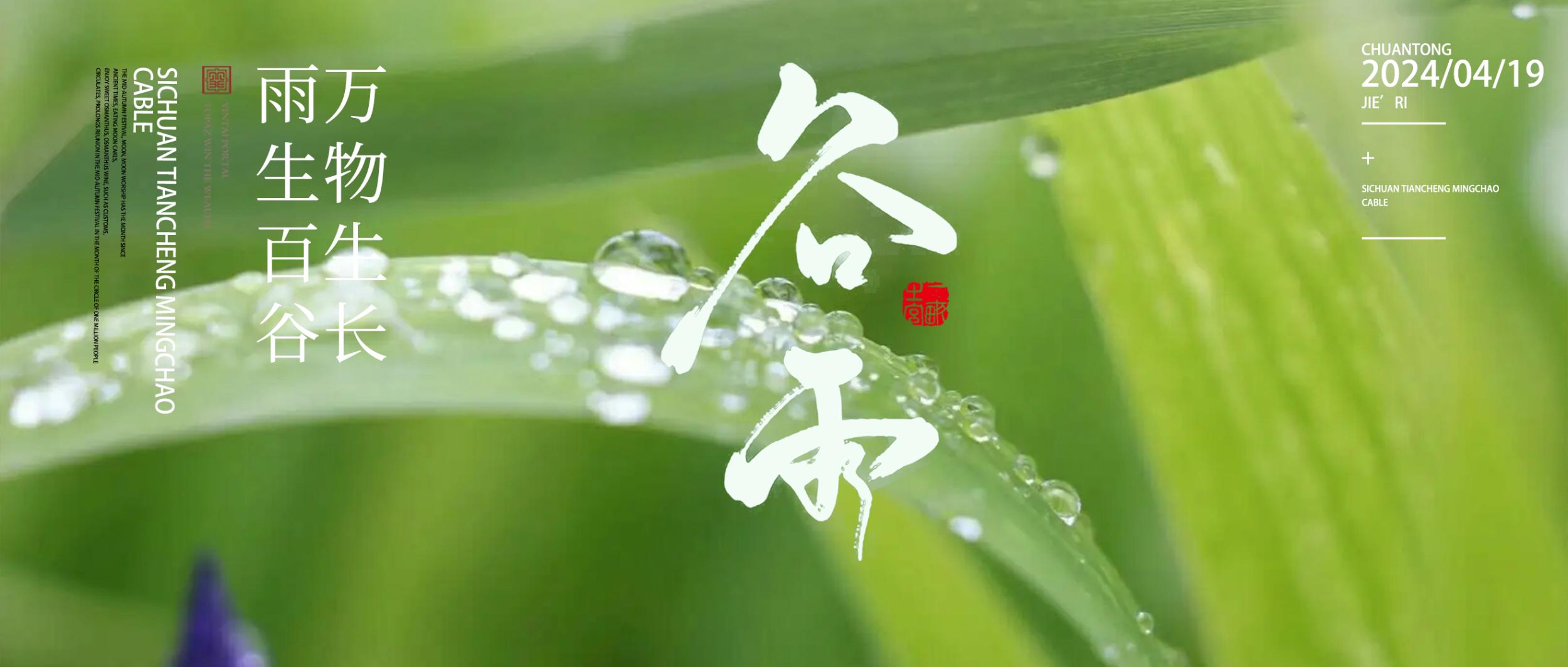 谷雨：雨生百谷，万物逢时