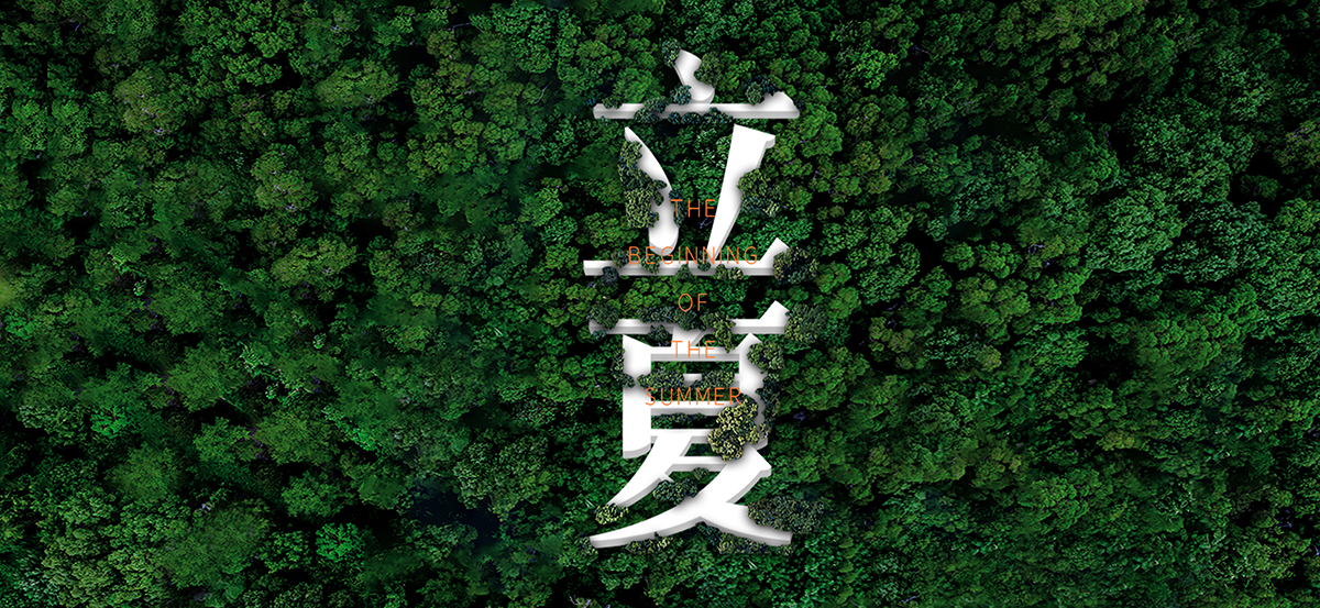 立夏：万物生长，时光正好！