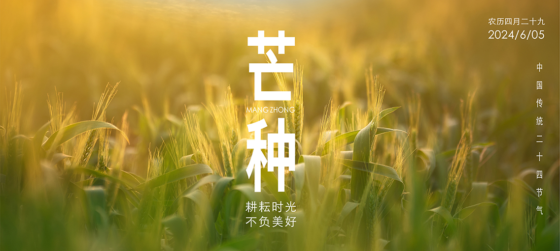 芒种：跟随时序，忙而不茫