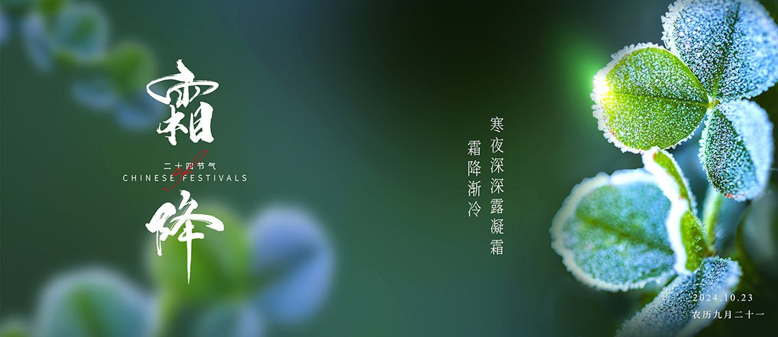 霜降：露结霜，雾霾降，秋风瑟瑟霜降至