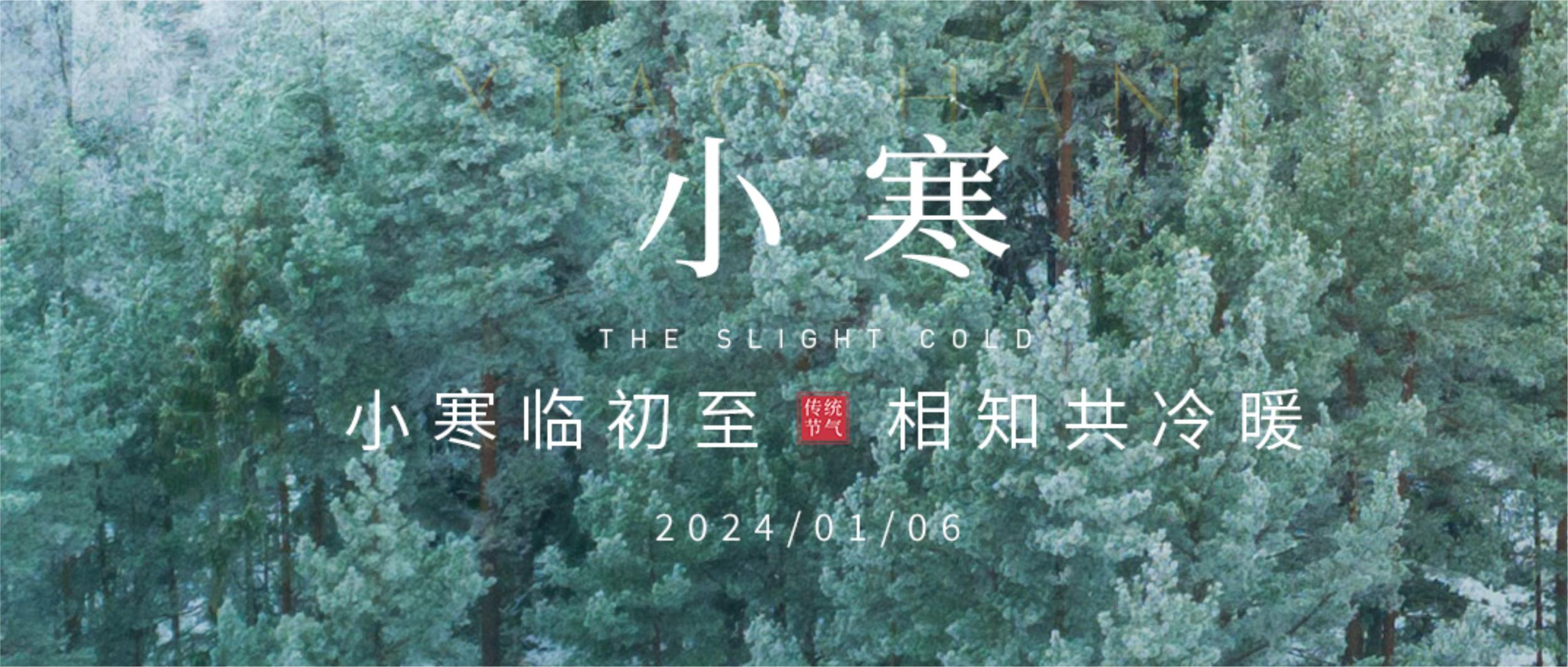 小寒：白雪成花上枝头，东风料峭小寒生