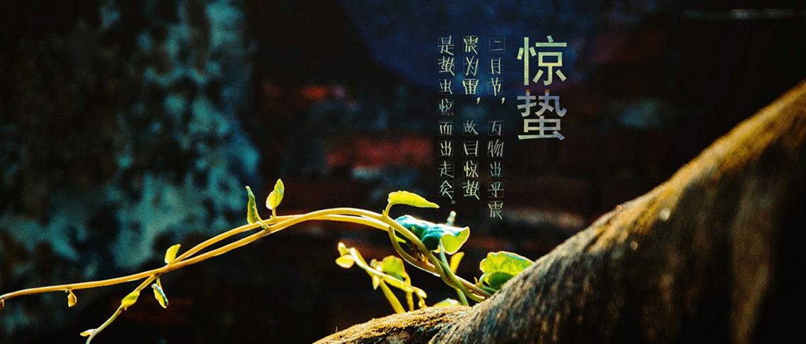 惊蛰：微雨众卉新，一雷惊蛰始