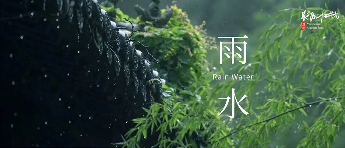 雨水：一帘新雨后，人间又逢春